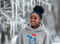 "SANTA Football In The D"Relaxed Fit Classic Unisex Hoodie Deal