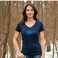 "Let's Go Lions"Women's V-Neck