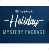 Holiday Mystery Package